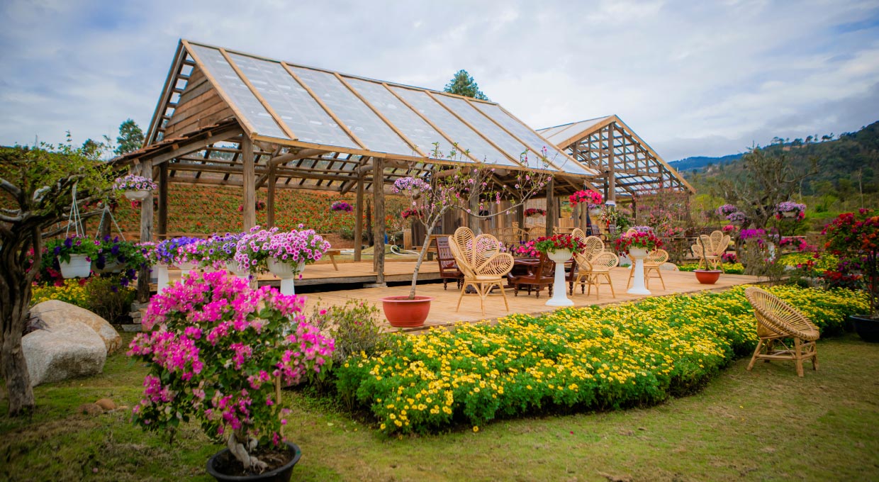 The Florest – Hoa Trong Rừng